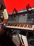 Arturia Matrixbrute Analoge Synthesizer, Overige merken, Gebruikt, Aanslaggevoelig, Overige aantallen