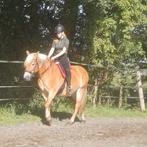 Gez. Butterfly singel ., Ophalen, Recreatie