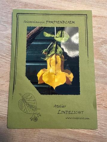 SEIZOENLAMPJE POMPOENBLOEM POMPOEN atelier lindelicht vilt beschikbaar voor biedingen