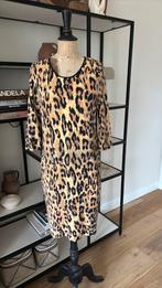 Juffrouw Jansen stretch jurk nieuw M, Ophalen of Verzenden, Nieuw, Maat 38/40 (M), Overige kleuren