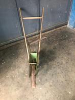 thilot, Ophalen, Gehele jaar, Halfschaduw, Zaad