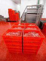 Rode slagers kratten - diverse aantallen - dozen HDPE, Doe-het-zelf en Verbouw, Kratten en Dozen, Ophalen