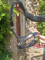 NIEUW! echt leren halster van AroEqui Cob, Dieren en Toebehoren, Ophalen of Verzenden, Nieuw, Overige soorten
