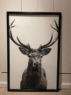 Ikea hert - BJÖRKSTA, Hoorns/zwart, 78x118 cm, Ophalen, Zo goed als nieuw, 75 tot 100 cm, Foto of Poster
