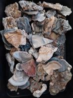 Grote partij chalcedoon rozen, Verzamelen, Mineralen en Fossielen, Ophalen of Verzenden, Mineraal