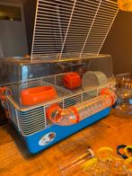 Knaagdier / hamster kooi incl toebehoren, Dieren en Toebehoren, Minder dan 60 cm, Kooi, Hamster, Minder dan 75 cm