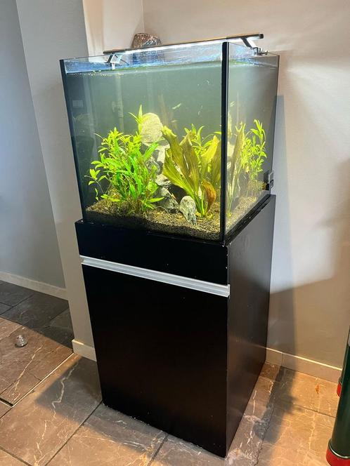 Aquarium, Dieren en Toebehoren, Vissen | Aquaria en Toebehoren, Gevuld zoetwateraquarium, Ophalen