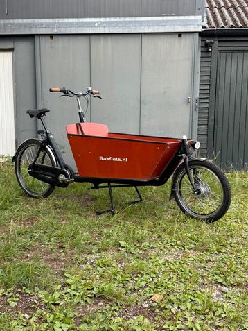 Bakfiets nl cargo long/regenhuif/7V/cruiser/nieuw model beschikbaar voor biedingen