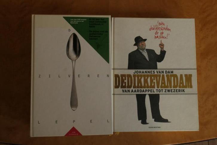 De Zilveren Lepel & De Dikke Van Dam, Boeken, Kookboeken, Zo goed als nieuw, Voorgerechten en Soepen, Hoofdgerechten, Tapas, Hapjes en Dim Sum