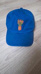 Harry Styles tpwk pet, Ophalen