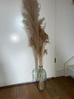 Glazen Vaas met Pluimen, Overige kleuren, Ophalen of Verzenden, Minder dan 50 cm, Glas