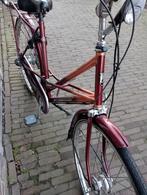 dames fiets batavus, Ophalen, Versnellingen, Batavus, 53 tot 56 cm