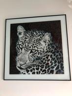Panter foto lijst 50x50cm, Huis en Inrichting, Ophalen of Verzenden, Zo goed als nieuw, Foto of Poster, Minder dan 50 cm