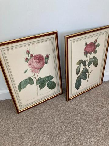 Vintage - P.J. Redoute set van 2 Rozen Prints in Lijst beschikbaar voor biedingen