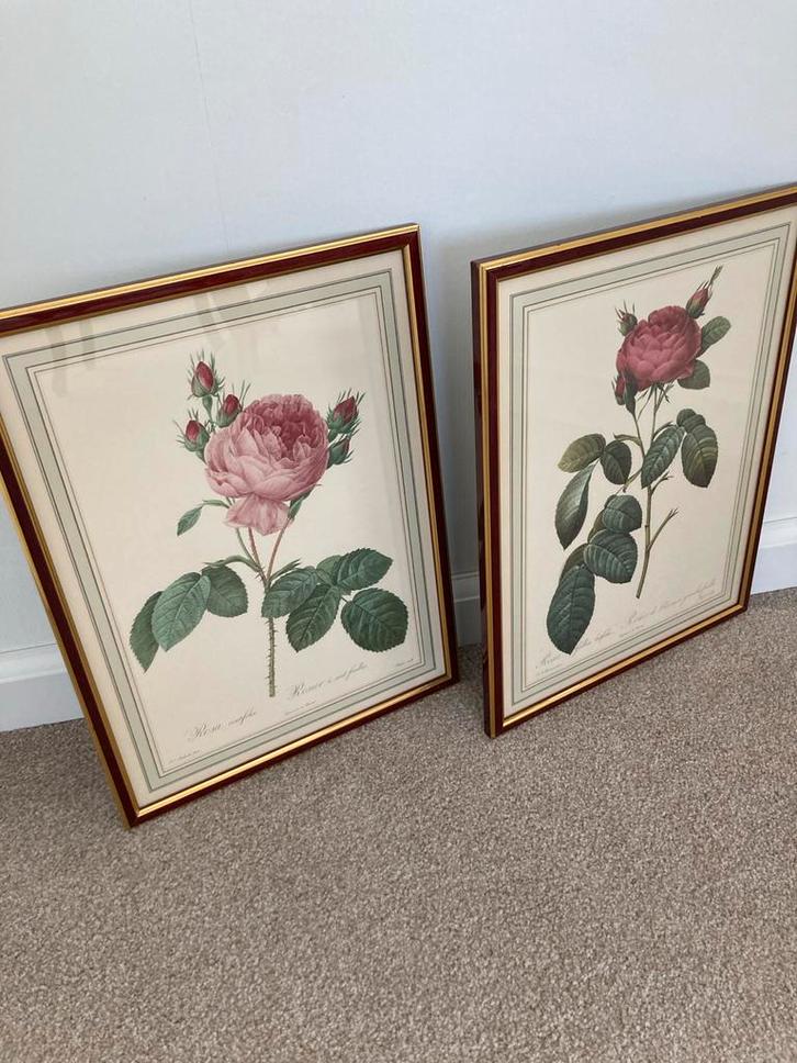 Vintage - P.J. Redoute set van 2 Rozen Prints in Lijst, Antiek en Kunst, Curiosa en Brocante, Ophalen