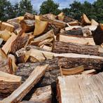 Stookhout gezocht!, Tuin en Terras, Haardhout, 3 tot 6 m³, Ophalen of Verzenden, Stammen