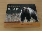 3=2 ACTIE James C. Halfpenny Yellowstone Bears in the Wild, Verzenden, Nieuw, Overige diersoorten