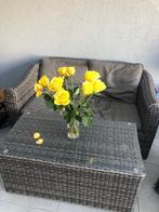 Loungeset Wicker - Bank, 2 Stoelen, Tafel, Tuin en Terras, Ophalen of Verzenden, Zo goed als nieuw, Wicker