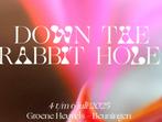 Down The Rabbit Hole 2025 – 3 Tickets te koop!, Drie personen of meer, Meerdaags