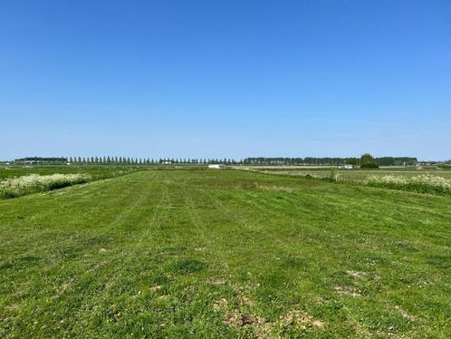 Grasland te koop, min. 4500 max. 10,000 M2 (zelf te kiezen), Dieren en Toebehoren, Stalling en Weidegang, Weidegang, 4 paarden of pony's of meer
