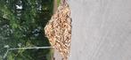 Nat brandhout, Tuin en Terras, Haardhout, 6 m³ of meer, Ophalen of Verzenden, Blokken
