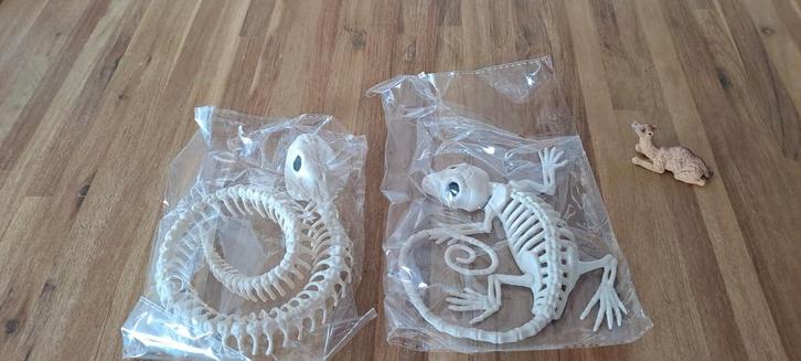 Speelgoed skelet
Gekko/Slang/Halloween, Kinderen en Baby's, Speelgoed | Babyspeelgoed, Nieuw, Overige typen, Ophalen