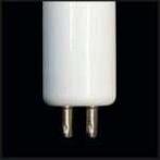 Vervangingslamp 80W Amalgaam KORT (PH-fitting), Filtreau, Info@antonisvijvers.nl, Nieuw, Ophalen of Verzenden