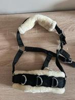 Shetlander kaptoom, Dieren en Toebehoren, Ophalen, Zo goed als nieuw, Overige soorten
