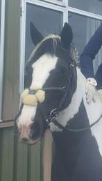 Mexicaans hoofdstel zwart cob, Dieren en Toebehoren, Paarden en Pony's | Hoofdstellen en Tuigage, Ophalen of Verzenden, Zo goed als nieuw