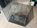 Ratten Kooi te koop, Dieren en Toebehoren, Knaagdieren en Konijnen | Hokken en Kooien, Minder dan 60 cm, Kooi, Ophalen of Verzenden