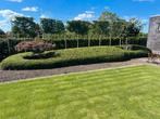 Lei Amberboom, Fagus Sylvatica, Haagbeuk, AANPLANT SERVICE!!, Tuin en Terras, Planten | Bomen, Ophalen of Verzenden, Halfschaduw