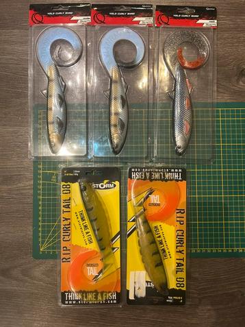 Quantum/storm curly tail beschikbaar voor biedingen