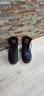 Panama Jack
Panama 03, Kleding | Heren, Ophalen of Verzenden, Zo goed als nieuw, Bruin, Boots