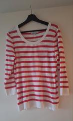 Nieuwe Red Button voorjaars trui in maat xxl, Red Button, Ophalen of Verzenden, Nieuw, Maat 46/48 (XL) of groter