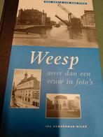 Ansichtenboek Weesp - Meer dan een eeuw in foto's, Boeken, Geschiedenis | Stad en Regio, Ophalen of Verzenden, 20e eeuw of later