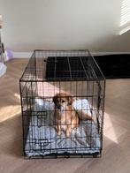 Honden bench nieuw 91x 57 x 64 inclusief kussen, Ophalen, Zo goed als nieuw, 75 tot 110 cm, Minder dan 65 cm