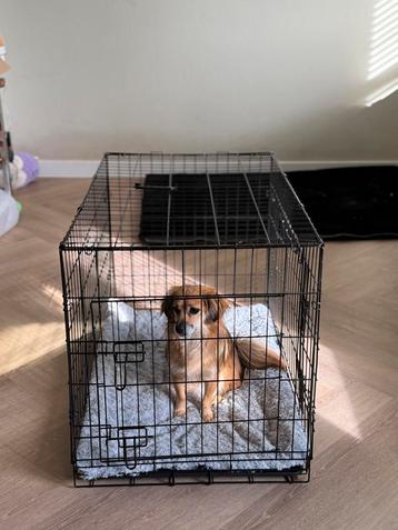 Honden bench nieuw 91x 57 x 64 inclusief kussen beschikbaar voor biedingen