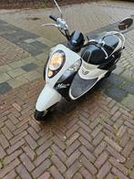 Sym mio snor 2011., Ophalen, Gebruikt, Benzine, Mio