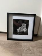 Schilderij/foto in zwart wit, Ophalen of Verzenden, Zo goed als nieuw, Minder dan 50 cm, Minder dan 50 cm