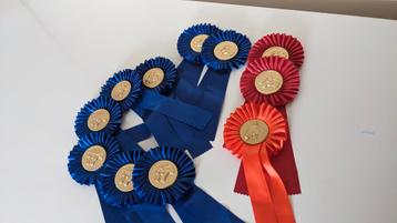 Rozetten leuk voor een kinderfeestje of kinder kamer  beschikbaar voor biedingen