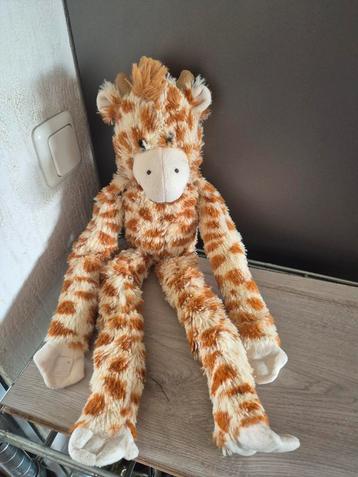Giraffe  beschikbaar voor biedingen