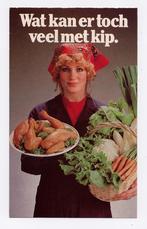 Folder recepten met kip ~ Productschap Pluimvee, Tapas, Hapjes en Dim Sum, Zo goed als nieuw, Nederland en België, Produktschap pluimvee ei
