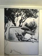 Groot fotodoek Brigitte Bardot in zwart frame, Huis en Inrichting, Woonaccessoires | Schilderijen, Tekeningen en Foto's, Ophalen