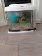 Aquarium, Dieren en Toebehoren, Vissen | Aquaria en Toebehoren, Ophalen, Gebruikt, Leeg aquarium