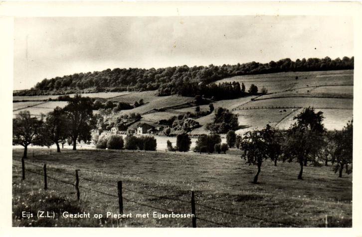 Eijs [Z.L.] - Gezicht op Piepert met Eijserbossen - 1956 gel, Verzamelen, Ansichtkaarten | Nederland, Gelopen, Noord-Brabant, Voor 1920