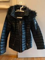 Morgan winterjas nieuw maat 40, Kleding | Dames, Jassen | Winter, Ophalen, Nieuw, Maat 38/40 (M), Zwart