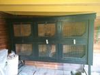 Konijnen cavia flat, Dieren en Toebehoren, Ophalen, 110 cm of meer, 90 cm of meer, Hok