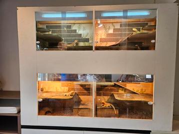 Mooi 3 deling terrarium kast te koop incl fittingen tl 3*  beschikbaar voor biedingen