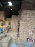 Kleine baaltjes hooi te koop, Dieren en Toebehoren, Ophalen of Verzenden, Vee