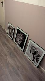 Drie schilderijen (leeuw, zebra, olifant), Ophalen, Minder dan 50 cm, Schilderij, Minder dan 50 cm